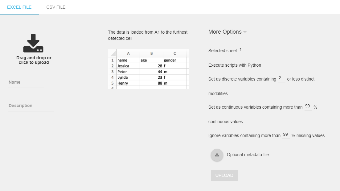 Datasets wizard > More Options